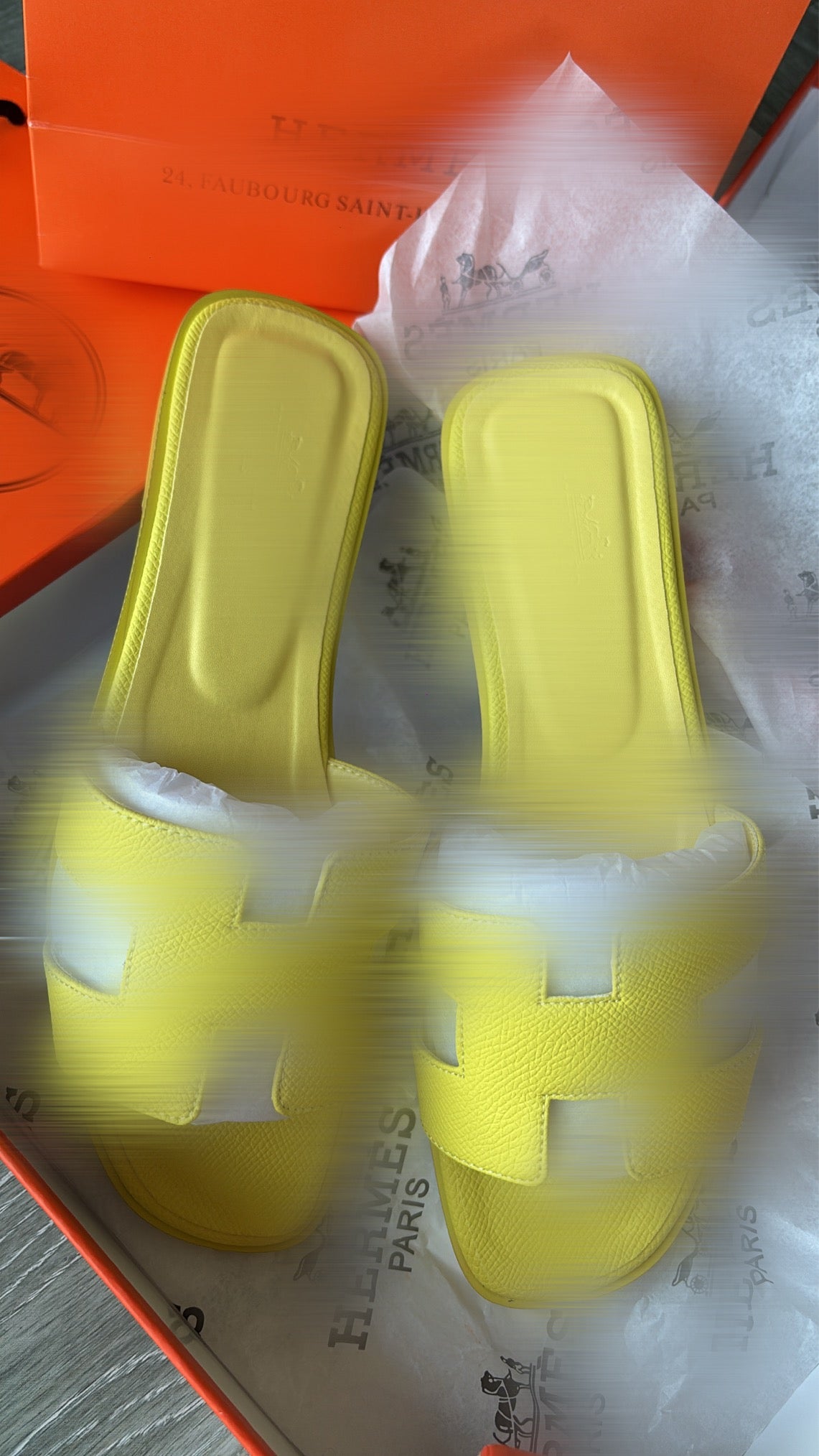 Yellow Slidders with box -Rg