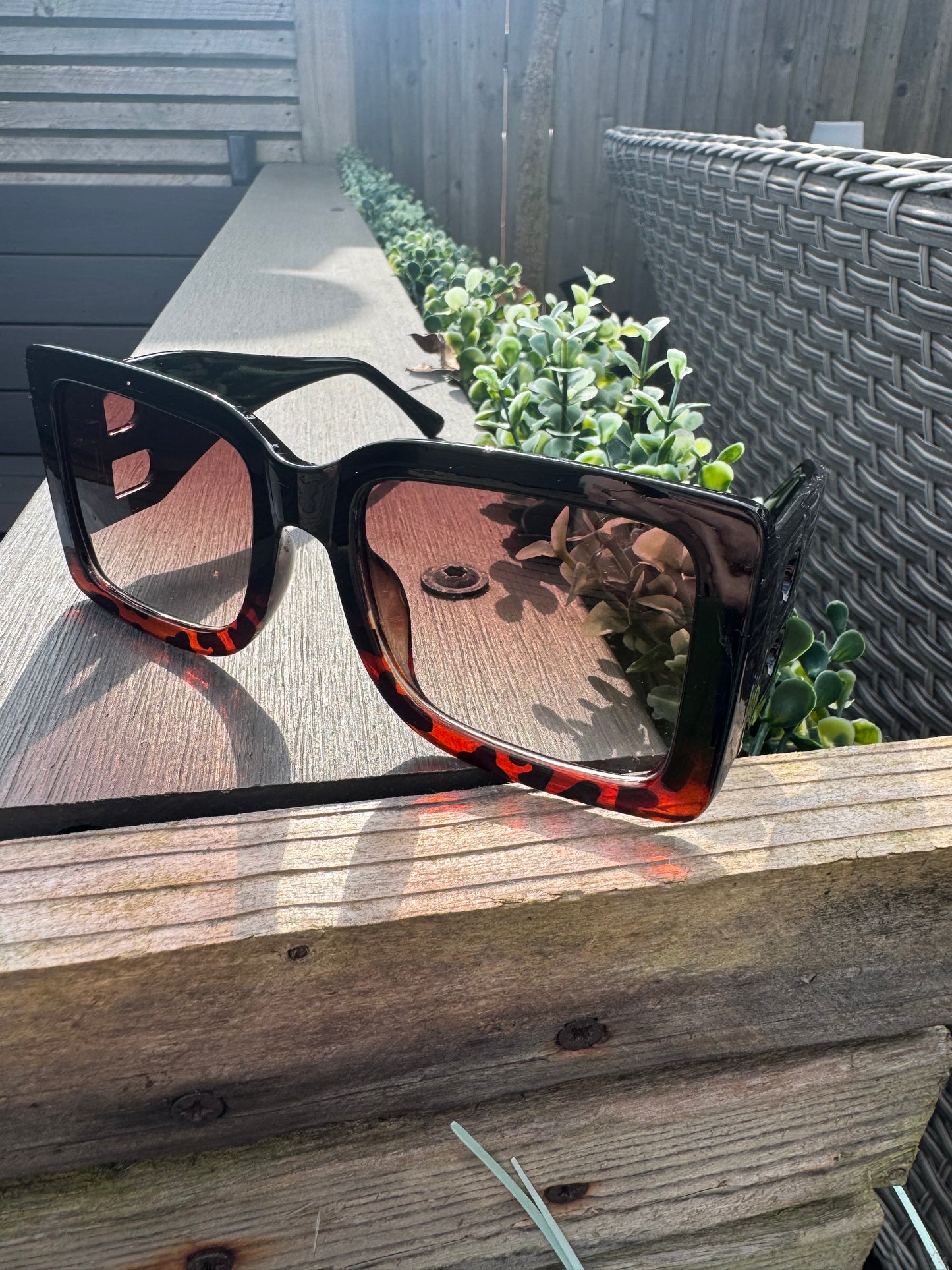 Leopard B Sunglasses